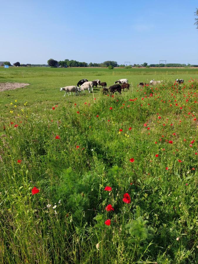 Farm stay Boerderijkamer De Hooizolder